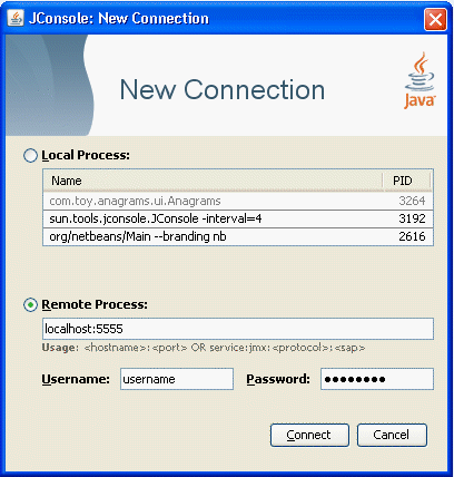 The dialog window for creating connections to remote processes